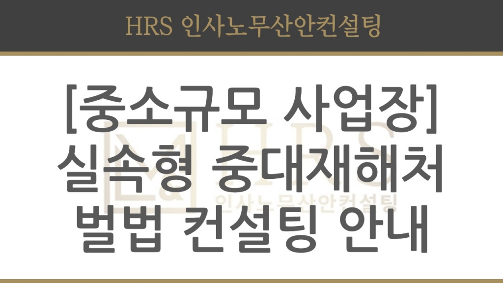 [중소규모 사업장] 실속형 중대재해처벌법 컨설팅 신설!